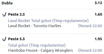 Biletul zilei Hochei 14 Februarie 2026