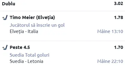 Biletul zilei hochei 17 Februarie 2026