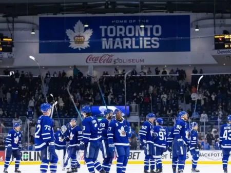 Biletul zilei hochei 21 Februarie 2026 – Mergem pe disputele din AHL, Cota 3,06