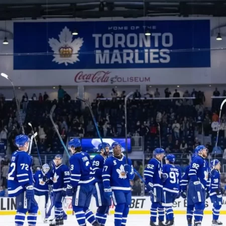 Biletul zilei hochei 21 Februarie 2026 – Mergem pe disputele din AHL, Cota 3,06