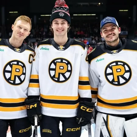 Bridgeport Islanders vs Providence Bruins, Ponturi Hochei – 15 Februarie 2026
