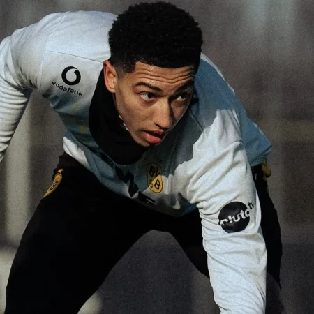 Cine transmite Borussia Dortmund – Atalanta la TV, pe 17 februarie, de la ora 22:00, în Champions League?