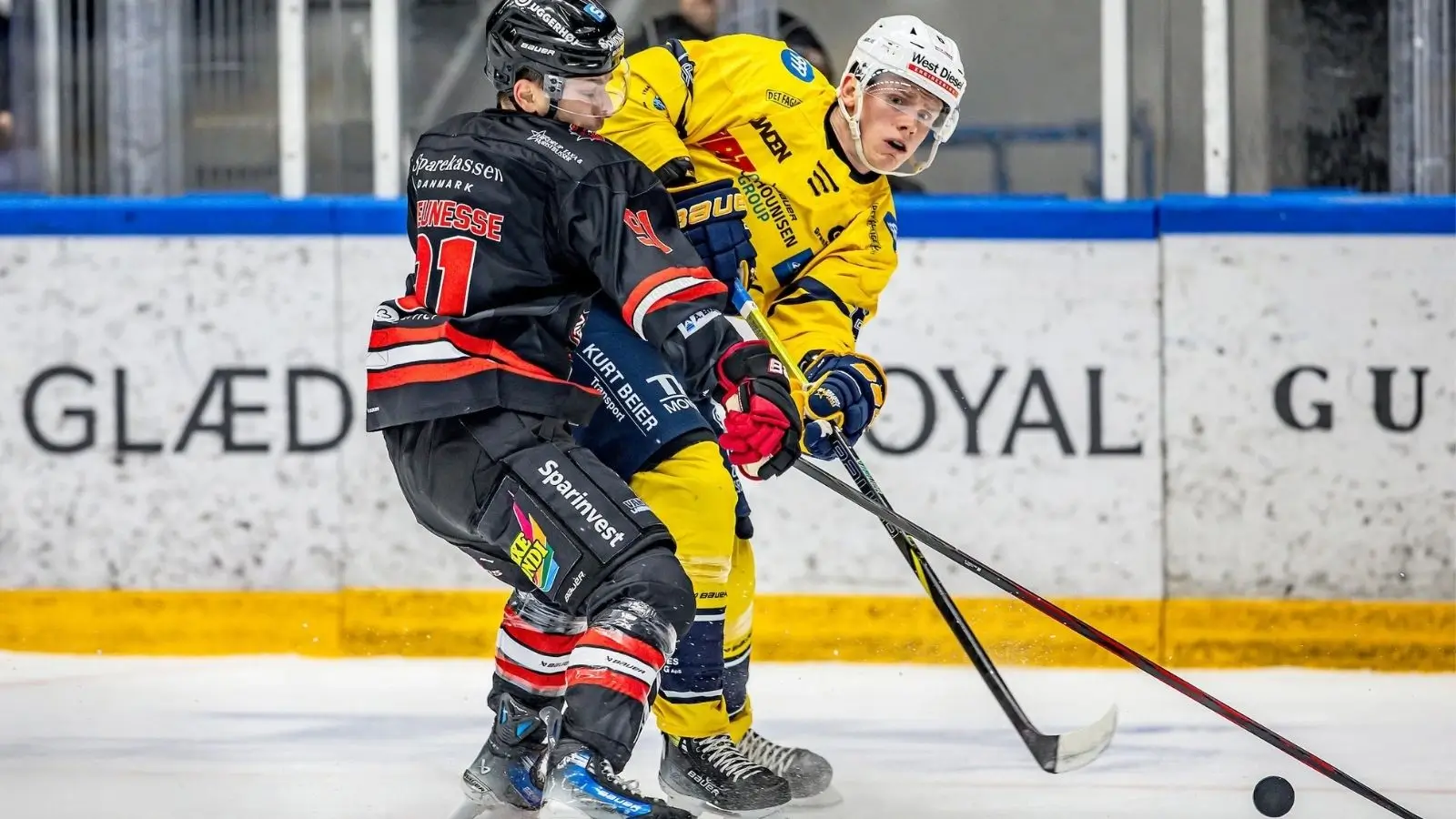 Esbjerg Energy vs Rungsted Ishockey, Pronosticuri Hochei - 23 Februarie 2026