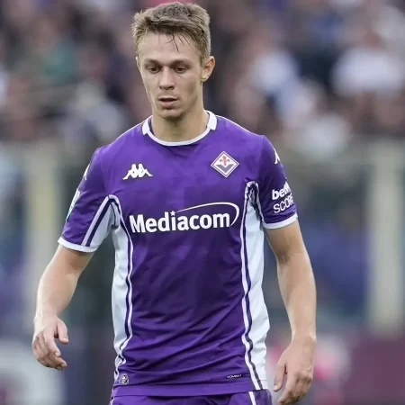 Fiorentina vs Torino, 7 februarie 2026, Ponturi Pariuri Serie A