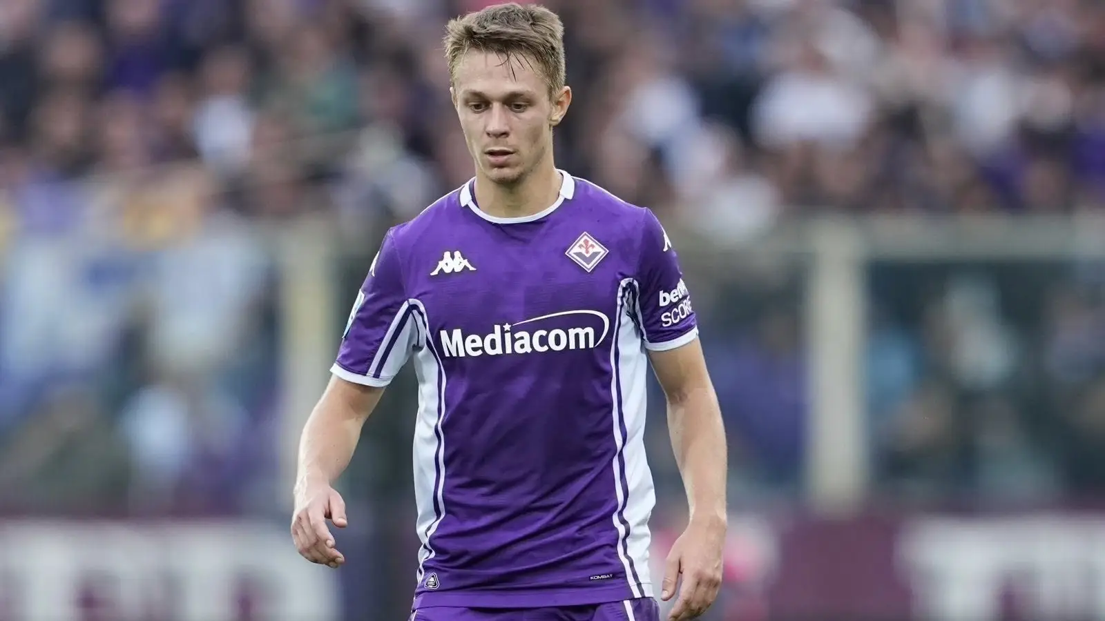 Fiorentina vs Torino, 7 februarie 2026, Ponturi Pariuri Serie A