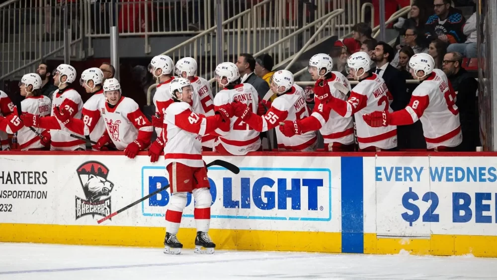 Grand Rapids Griffins vs Texas Stars, Ponturi Hochei, 15.02.2026