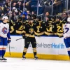 Providence Bruins vs Bridgeport Islanders – Ponturi Hochei, 15 februarie 2026