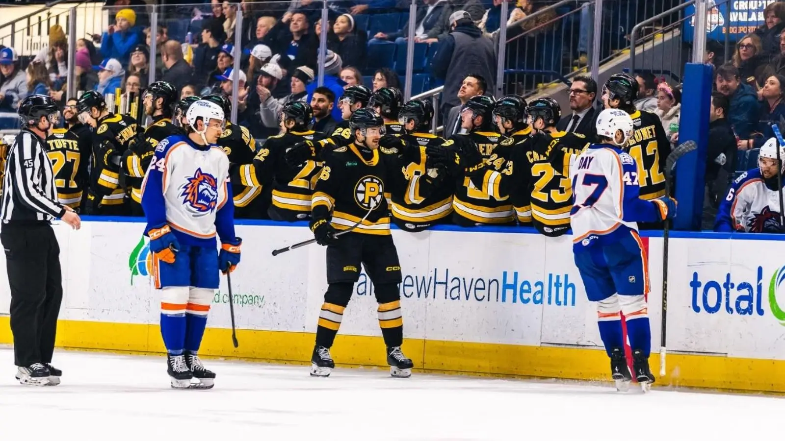Providence Bruins vs Bridgeport Islanders - Ponturi Hochei, 15 februarie 2026