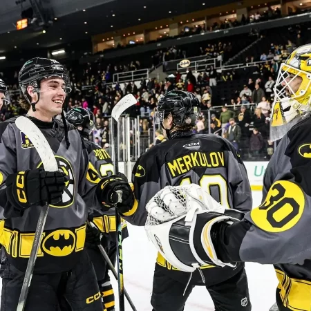 Providence Bruins vs Hartford Wolf Pack, Ponturi Hochei, 22 februarie 2026