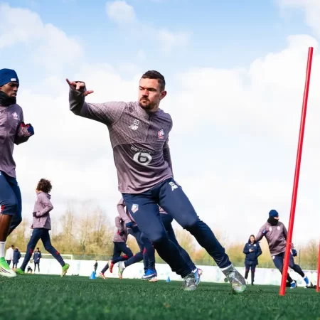 Angers – Lille, Ponturi pariuri Ligue 1, 22 februarie 2026