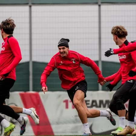 Freiburg vs Monchengladbach – Ponturi pariuri Bundesliga – 22.02.2026