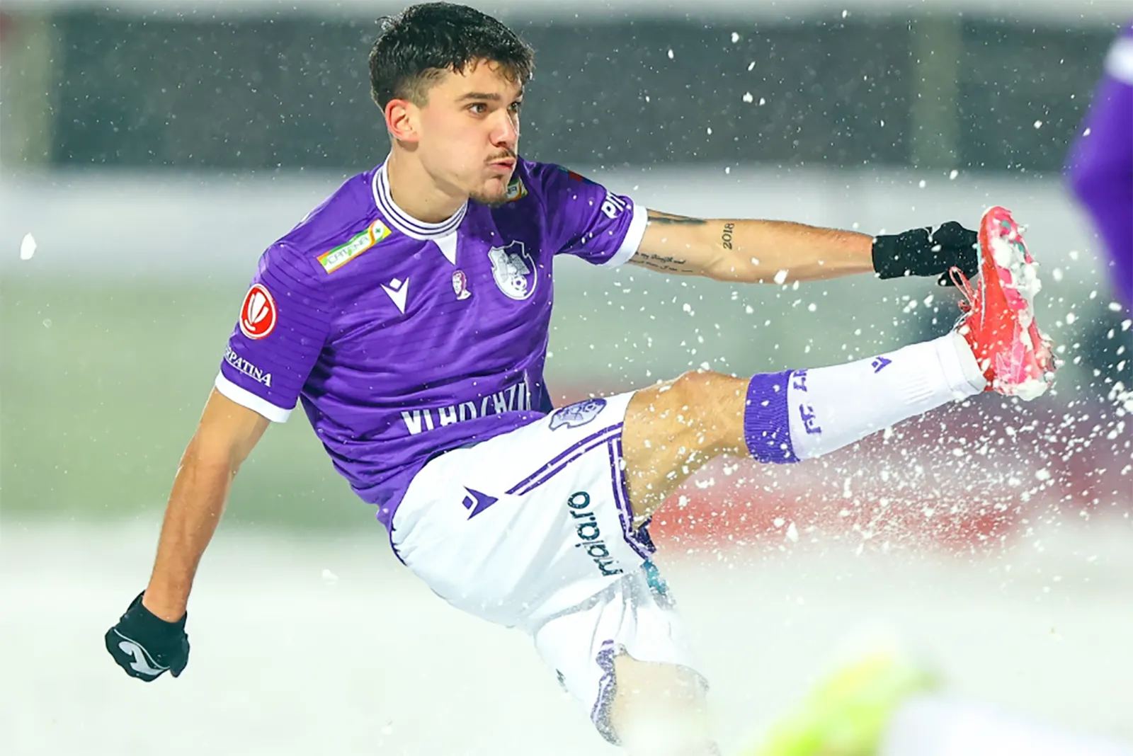 Petrolul vs FC Argeș, Ponturi Pariuri Superliga, 13.02.2026