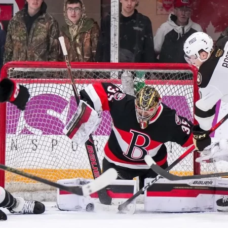 Belleville Senators vs Utica Comets, Ponturi Hochei – 08.03.2026