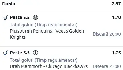 Biletul zilei Hochei 01 Martie 2026