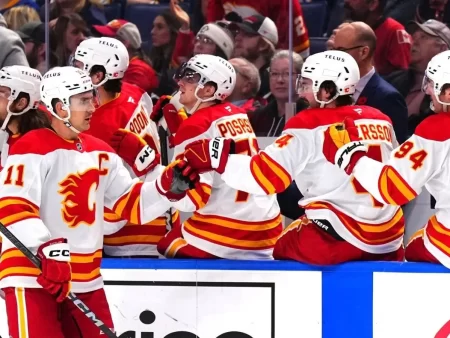 Biletul zilei hochei 15.03.2026 – Disputele din NHL ne aduc un combo în cotă 3,06