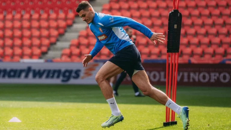 Cehia vs Irlanda, 26.03.2026, Ponturi Pariuri Baraj Campionatul Mondial 2026