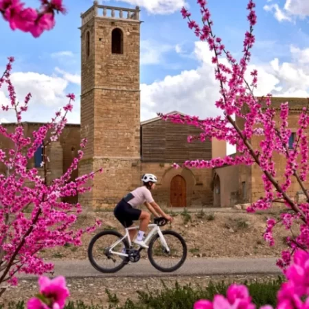 Cote pariuri Turul Franței 2026 – Când începe și care sunt favoriții din acest an?