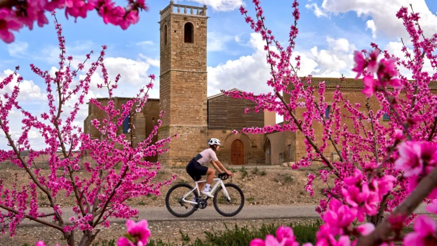 Cote pariuri Turul Franței 2026 - Când începe și care sunt favoriții din acest an