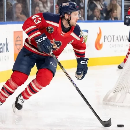 Grand Rapids Griffins vs Milwaukee Admirals, Ponturi Hochei – 14.03.2026