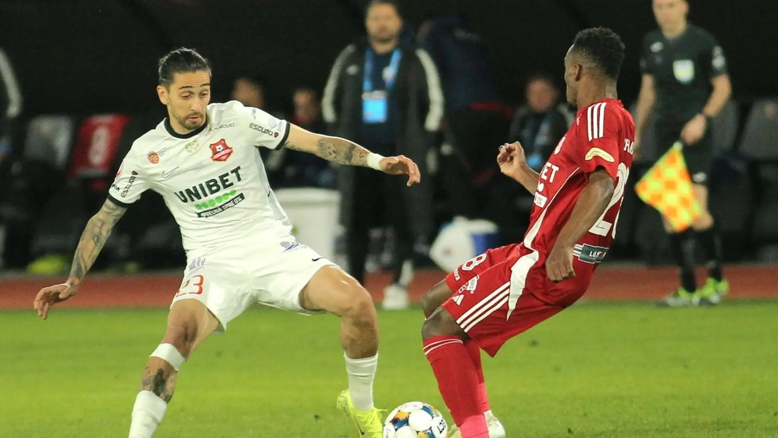 Hermannstadt - FC Botoșani Victorie importantă pentru gazde