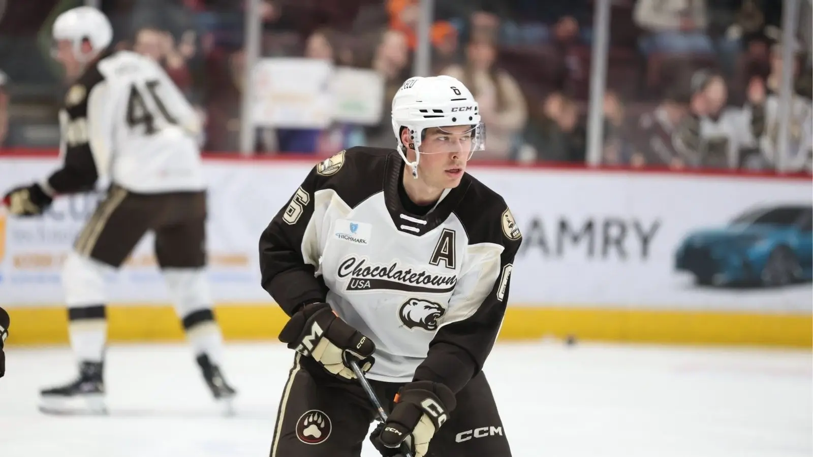 Hershey Bears vs Charlotte Checkers, Ponturi Hochei - 03.03.2026