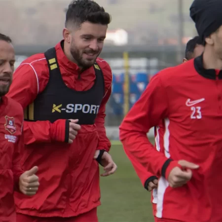 Hermannstadt – FC Botoșani – Ponturi Pariuri Play-Out Superliga – 22.03.2026