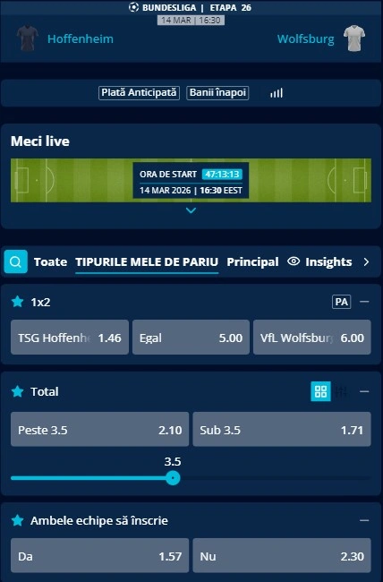 Cote pariuri Hoffenheim vs Wolfsburg