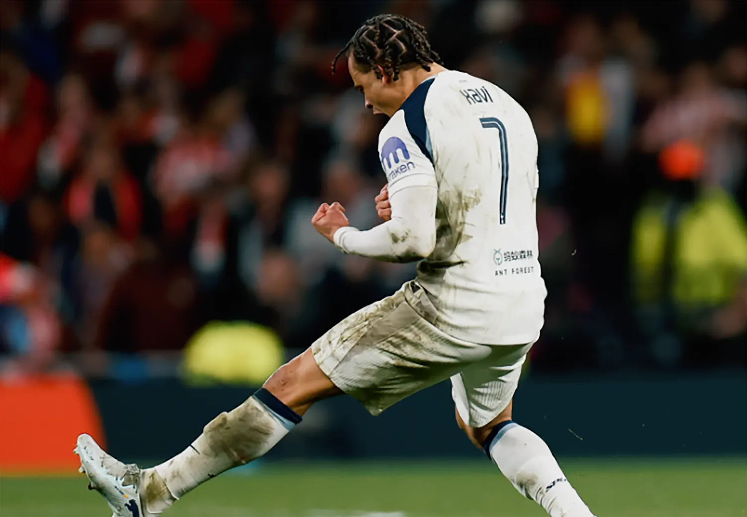 Tottenham vs Nottingham, Ponturi Pariuri Premier League, 22.03.2026