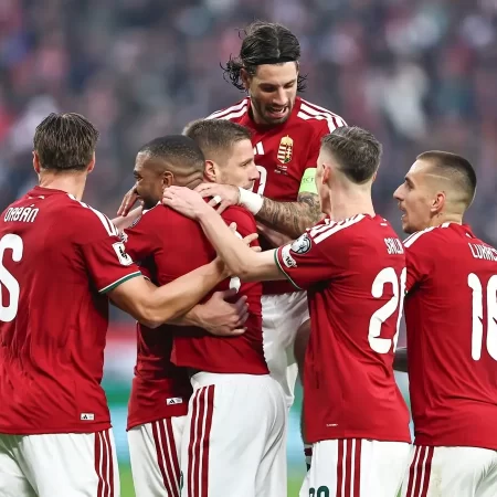 Ungaria vs Slovenia – Ponturi pariuri Amical Internațional – 28.03.2026