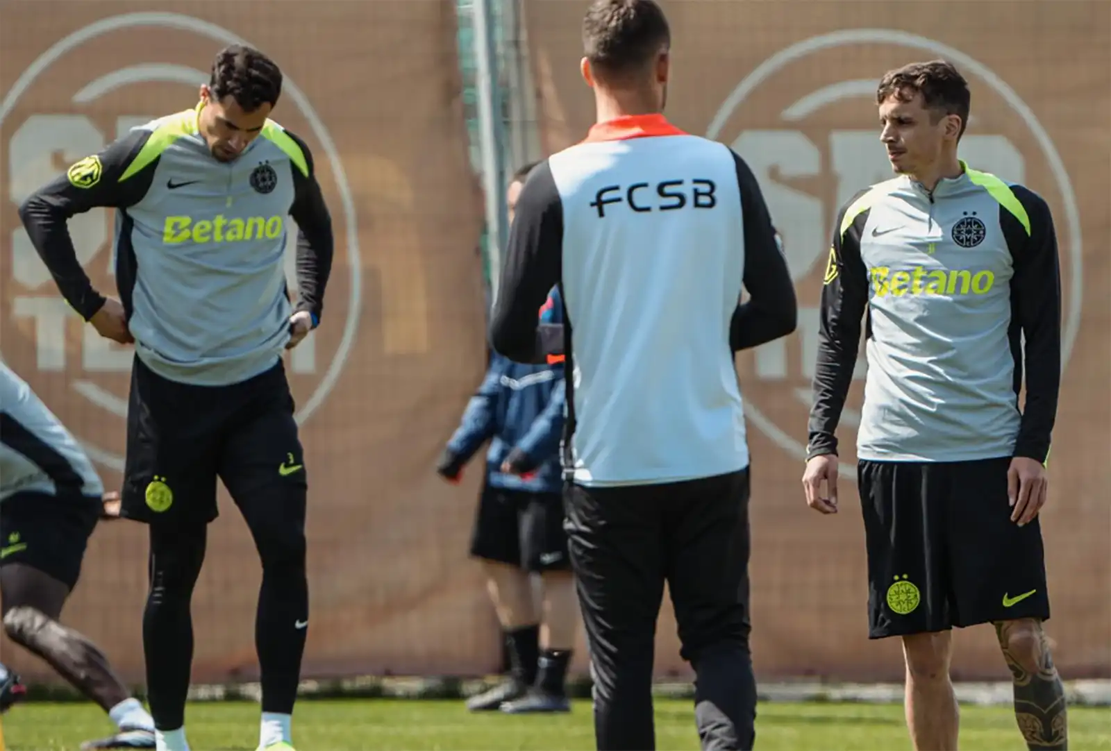 Farul Constanța - FCSB - Ponturi Pariuri Play-Out Superliga - 20 aprilie 2026