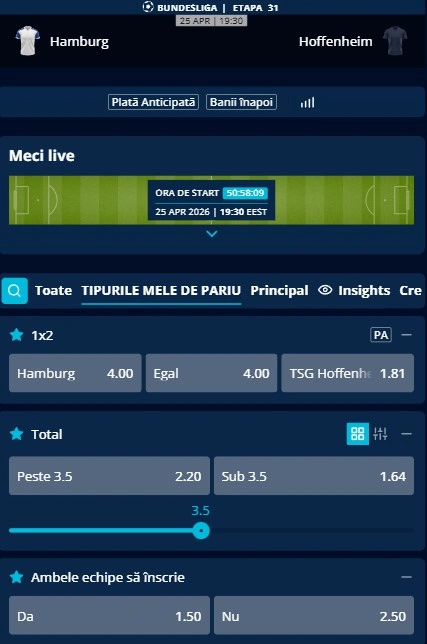 Cote pariuri Hamburger SV - Hoffenheim