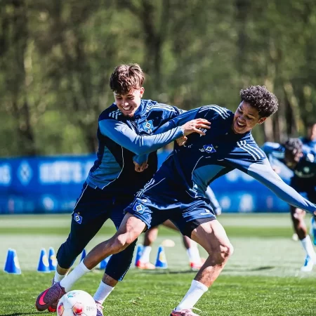 Hamburger SV – Hoffenheim, Ponturi pariuri Bundesliga, 25 aprilie 2026