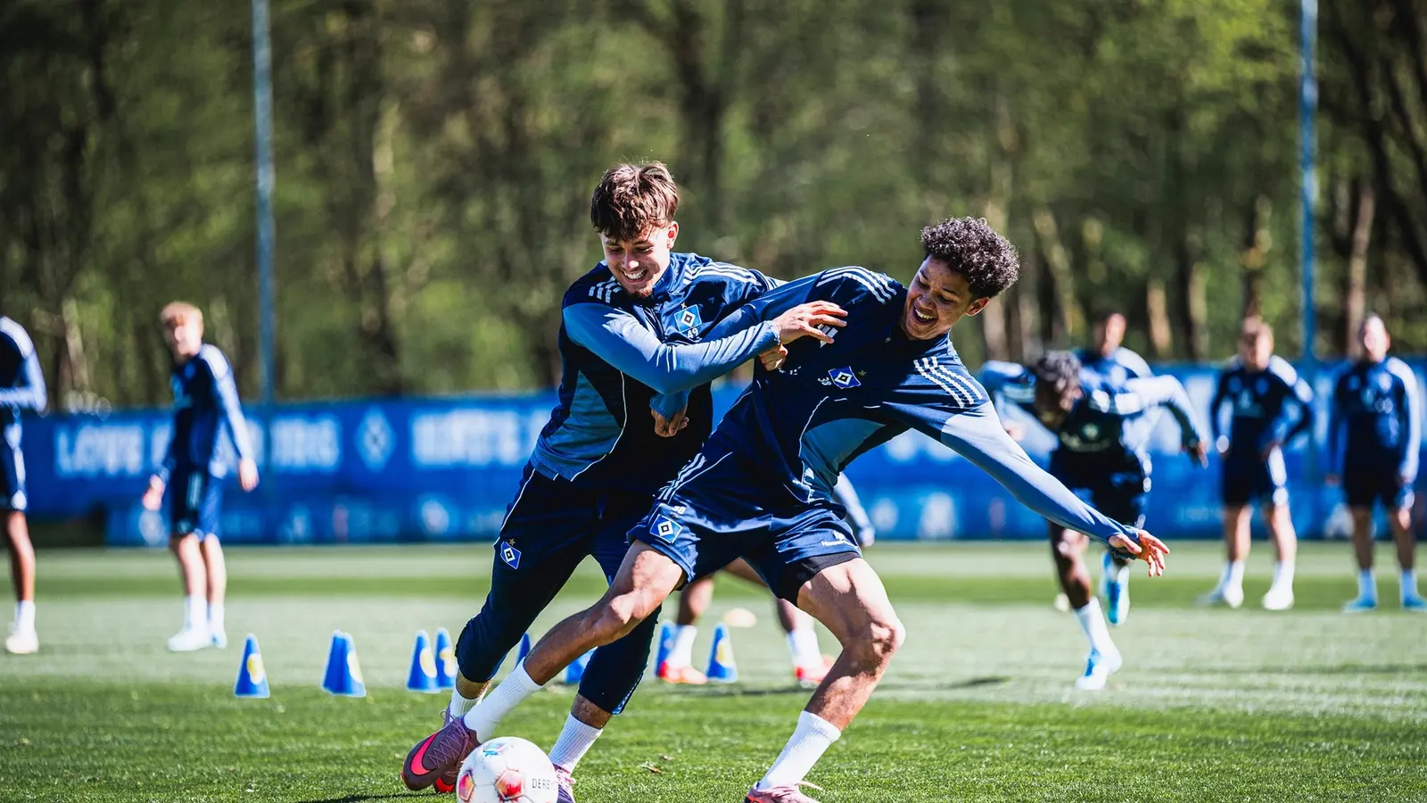 Hamburger SV - Hoffenheim, Ponturi pariuri Bundesliga, 25 aprilie 2026