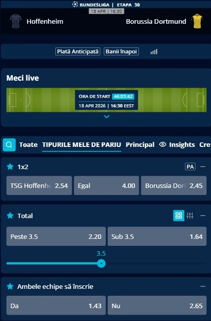 Cote pariuri Hoffenheim - Dortmund