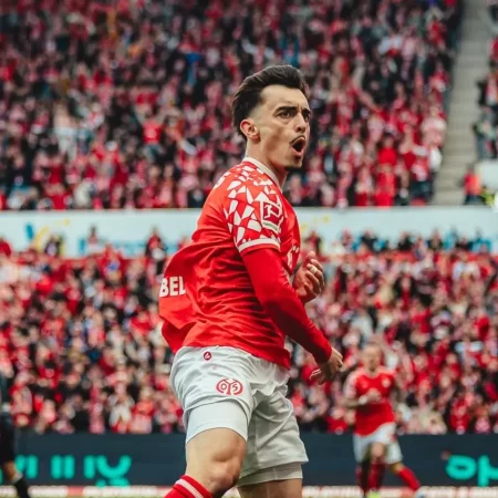 Hoffenheim vs Mainz – Ponturi pariuri Bundesliga – 04.04.2026