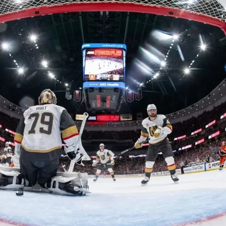 Biletul zilei hochei 13.05.2026 – Mizăm pe partidele din play-off-ul nhl, cota 2,87