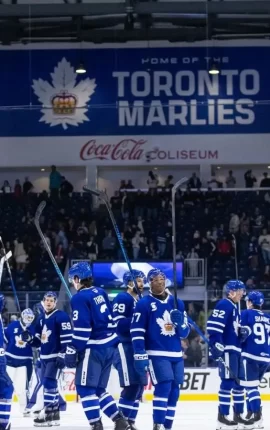 Biletul zilei hochei 23 mai 2026 – Ne bazăm pe disputele din nhl și ahl – cota 2,88