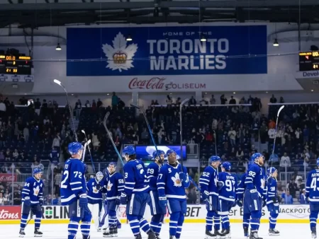 Biletul zilei hochei 25 mai 2026 – Mizăm pe duelurile din nhl și ahl, cota 3,02