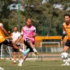 FC Lorient – Le Havre, Ponturi pariuri Ligue 1, 17 mai 2026
