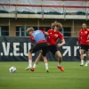 Union Berlin vs FC Augsburg – Ponturi pariuri Bundesliga – 16.05.2026