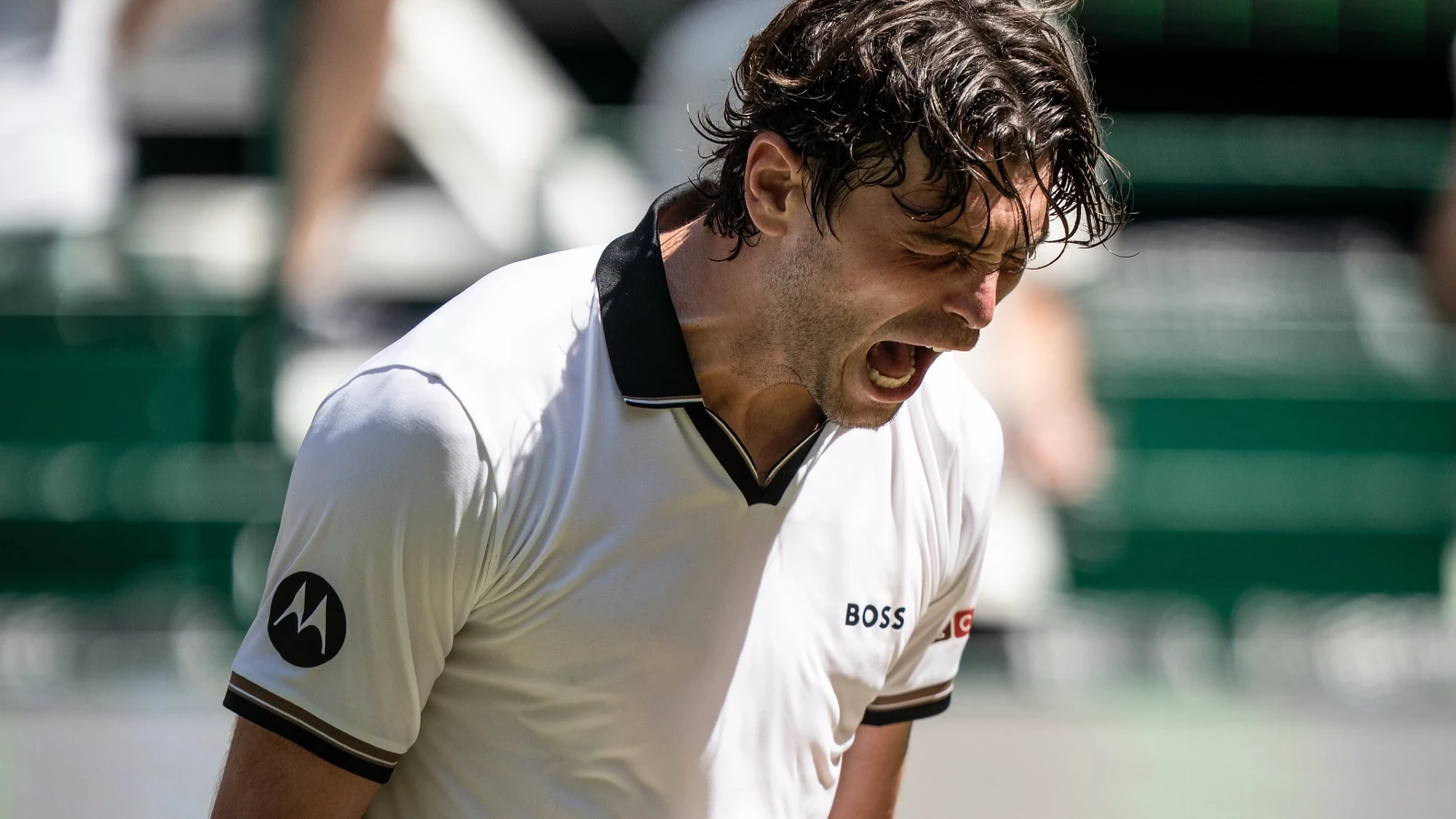 Alexander Zverev vs Taylor Fritz - Ponturi Pariuri Semifinale Halle 20.06.2026