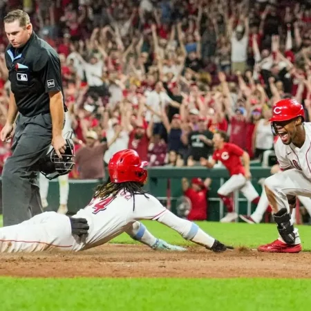 Biletul zilei baseball 28.06.2026 – Cota 2,79 extrasă de la Betano