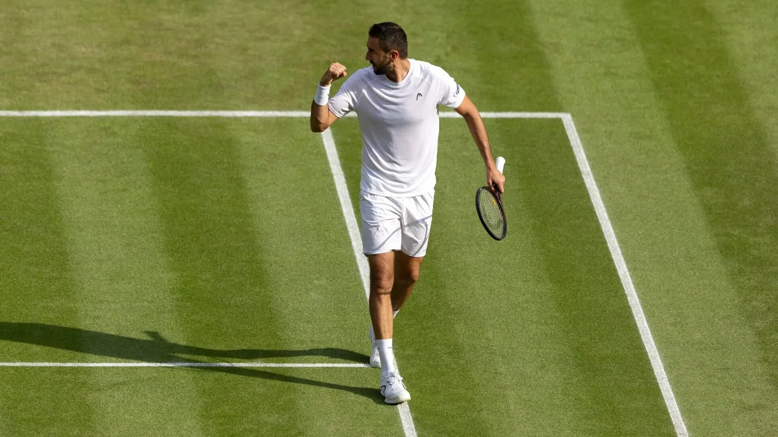 Marin Cilic vs Daniil Medvedev - Ponturi Pariuri Wimbledon 29 iunie 2026