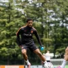 Olanda vs Algeria – Ponturi pariuri Amical Internațional – 03.06.2026