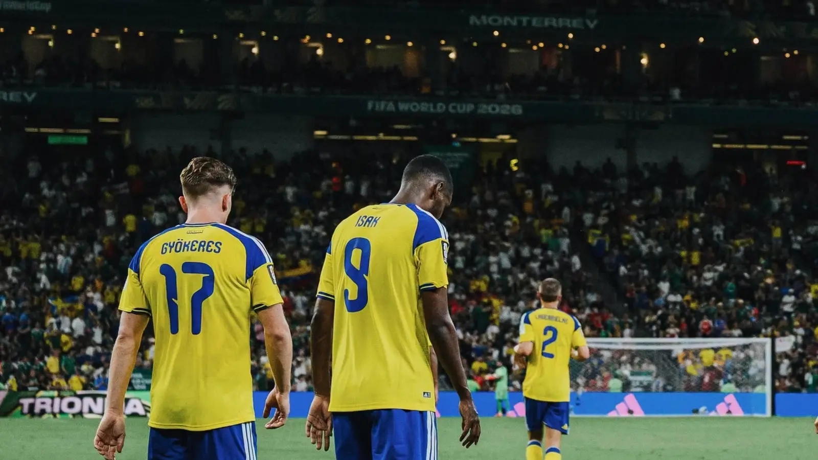 Olanda vs Suedia - Ponturi pariuri Cupa Mondială - 20 iunie 2026