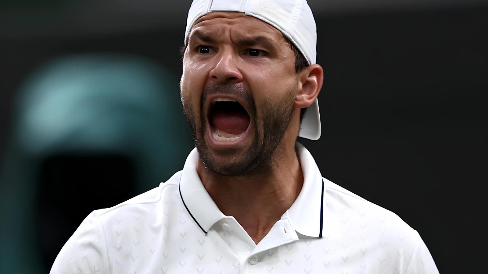Biletul zilei tenis 15 iulie 2026 - Mizăm pe meciurile lui Dimitrov și Tsitsipas pentru o cotă totală de 3.15