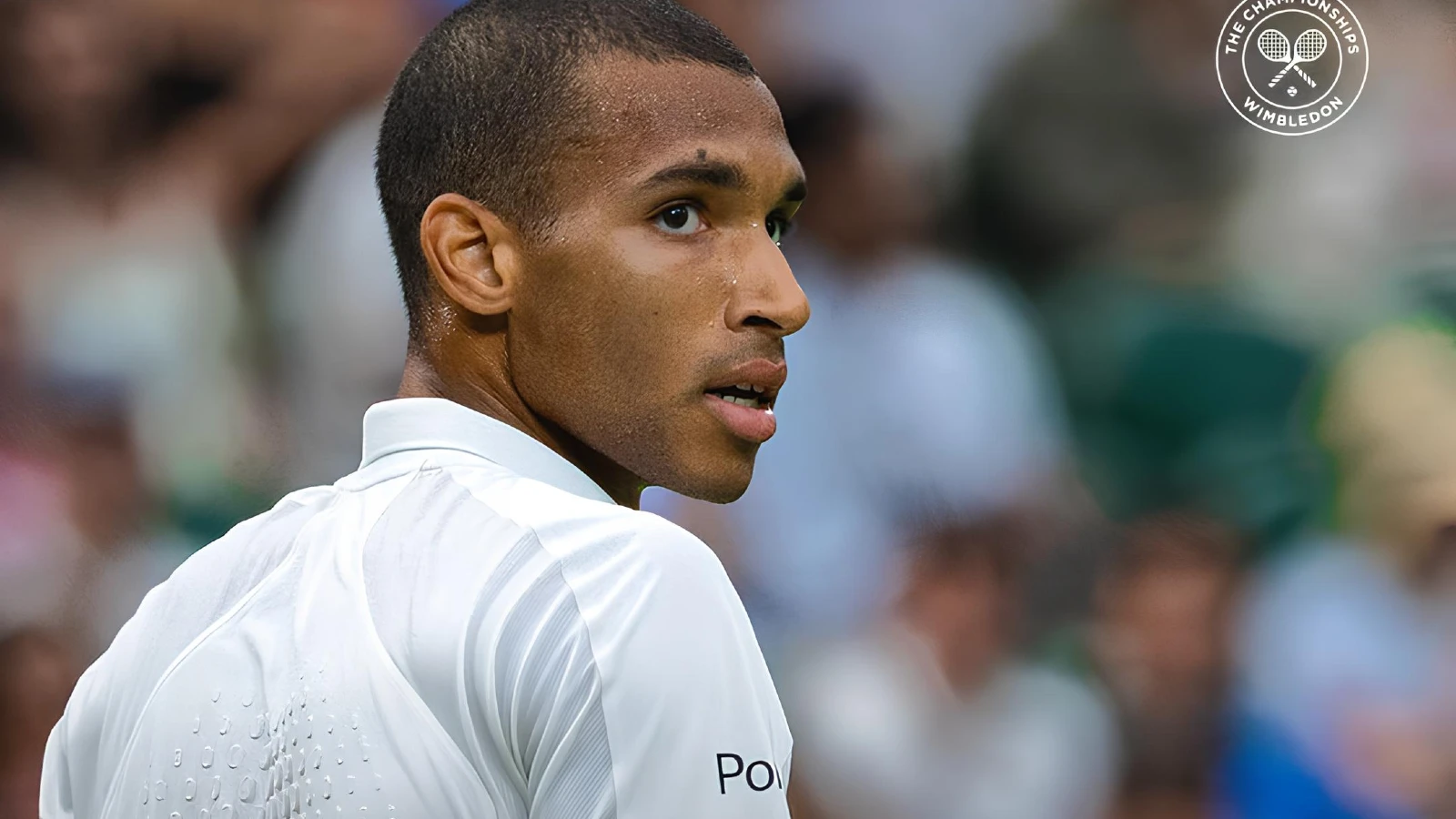 Biletul zilei tenis 7 iulie 2026 - Sferturile de azi de pe tabloul masculin de la Wimbledon ne aduc o cotă totală de 2.51
