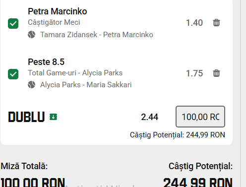 Biletul zilei tenis la Unibet 17 iulie 2026