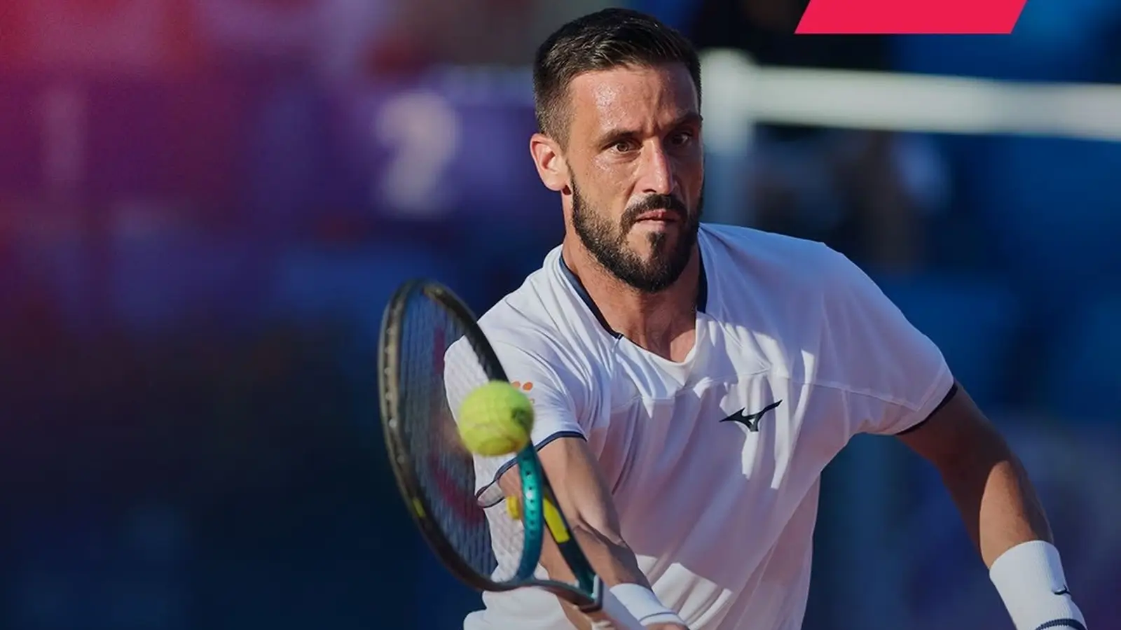 Damir Dzumhur vs Alex Molcan - Ponturi Pariuri semifinale ATP Umag Open 17.07.2026