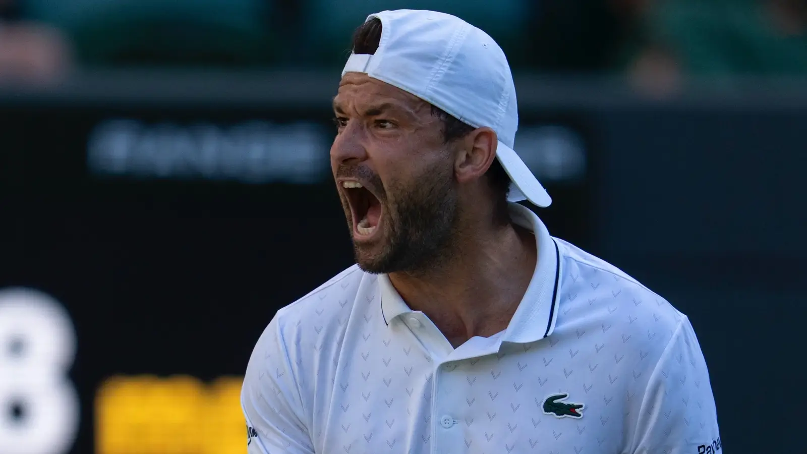 Grigor Dimitrov vs Matteo Berrettini - Ponturi Pariuri ATP Wimbledon 04 iulie 2026